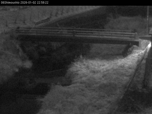 最新監視カメラ画像