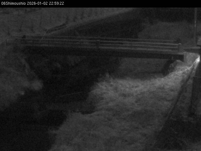 最新監視カメラ画像