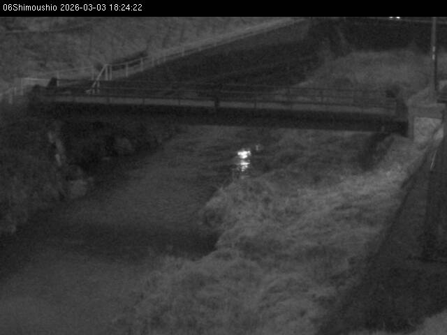 最新監視カメラ画像