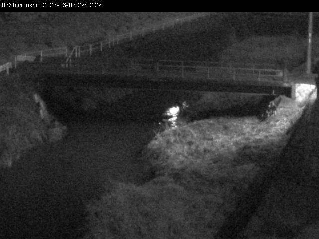 最新監視カメラ画像