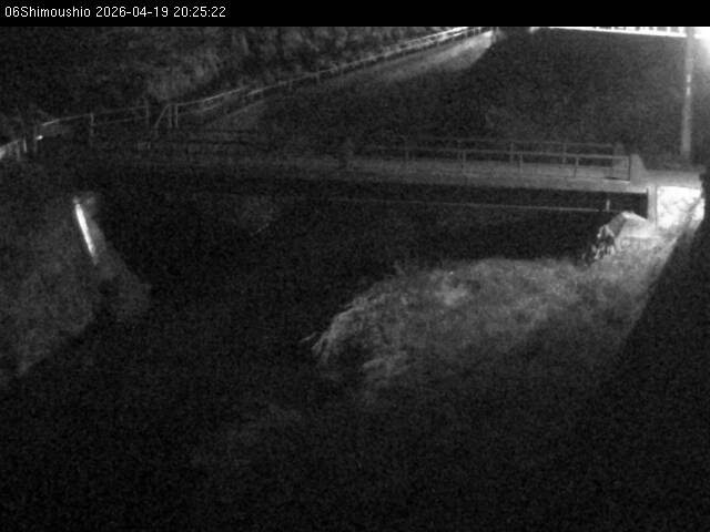 最新監視カメラ画像