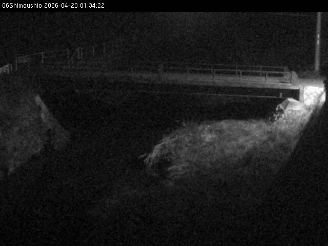 最新監視カメラ画像