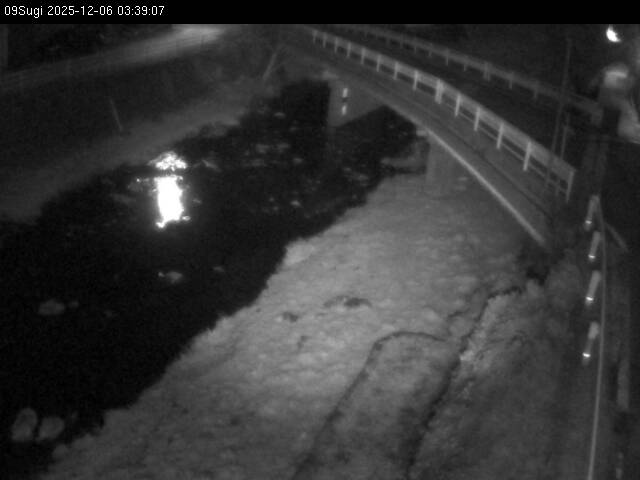 最新監視カメラ画像