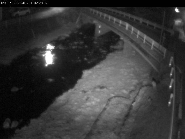 最新監視カメラ画像