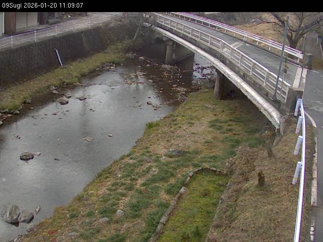 最新監視カメラ画像