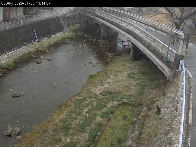 最新監視カメラ画像