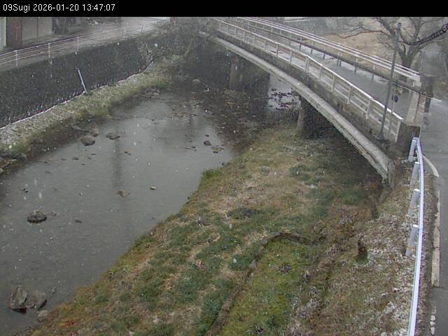 最新監視カメラ画像