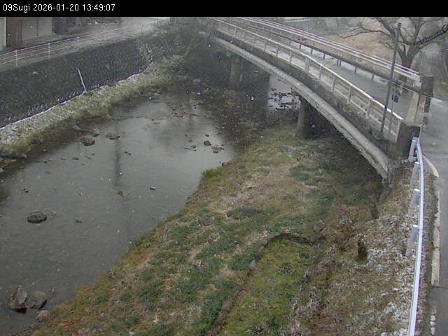 最新監視カメラ画像