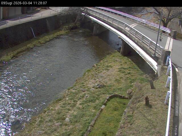 最新監視カメラ画像