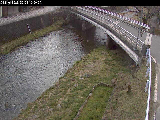 最新監視カメラ画像