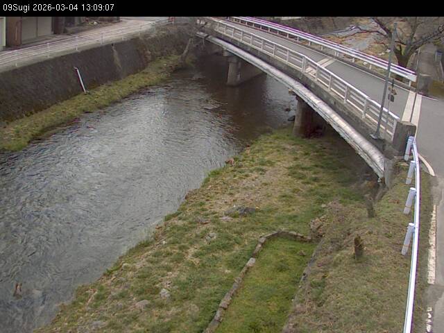 最新監視カメラ画像