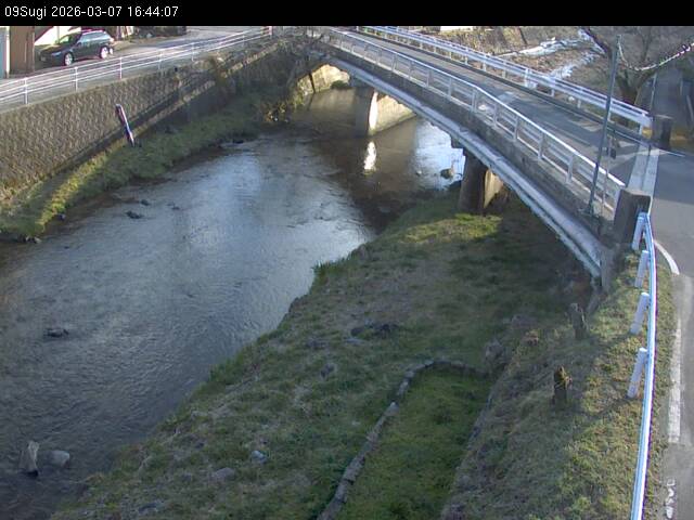 最新監視カメラ画像