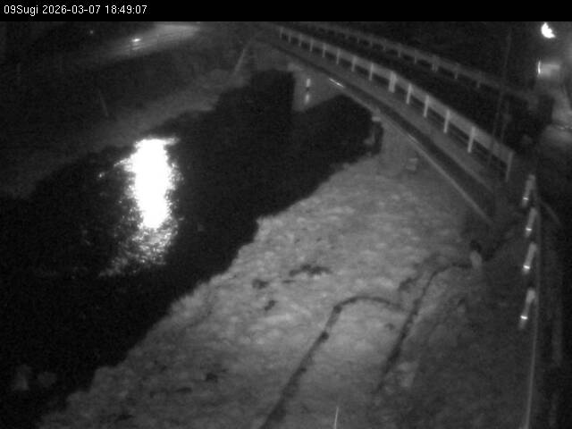 最新監視カメラ画像