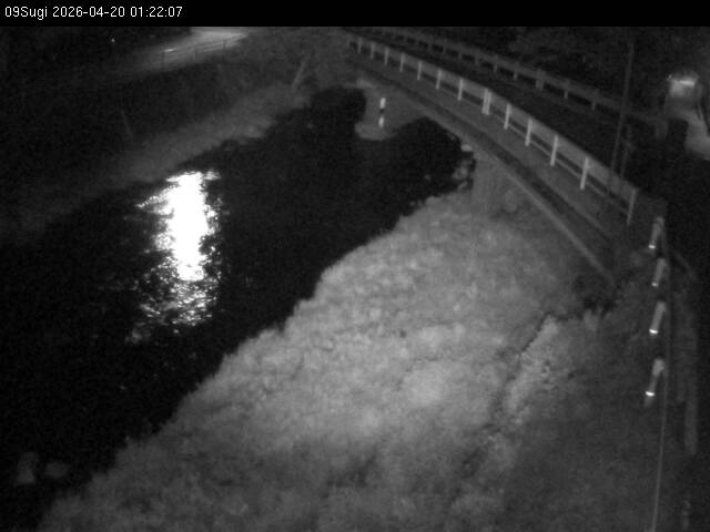 最新監視カメラ画像