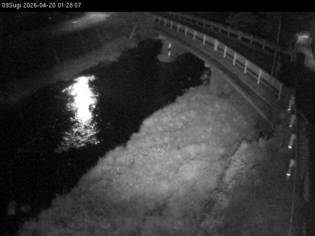 最新監視カメラ画像