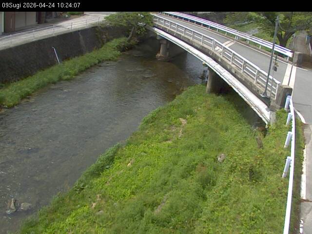 最新監視カメラ画像