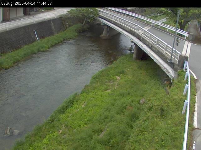 最新監視カメラ画像