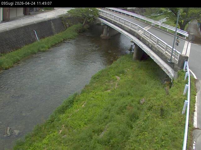 最新監視カメラ画像