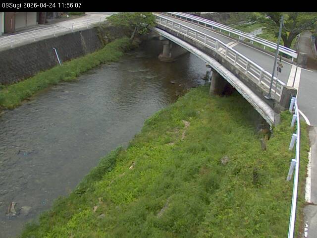 最新監視カメラ画像