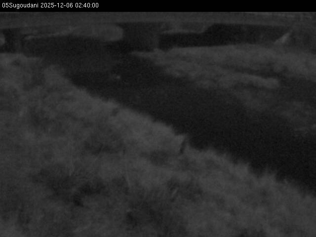 最新監視カメラ画像