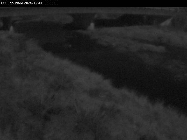 最新監視カメラ画像