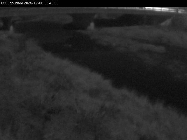 最新監視カメラ画像