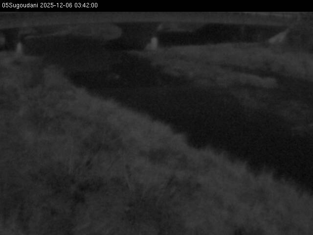 最新監視カメラ画像