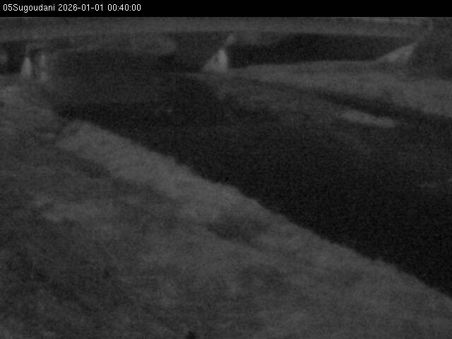 最新監視カメラ画像