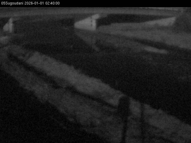 最新監視カメラ画像