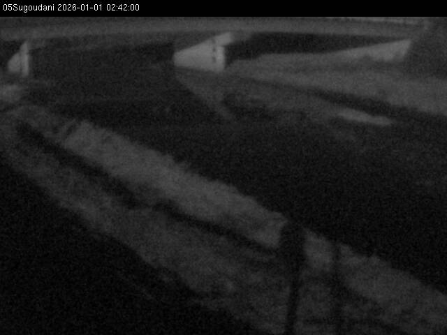 最新監視カメラ画像