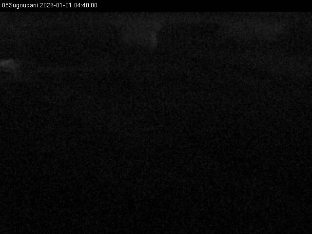 最新監視カメラ画像