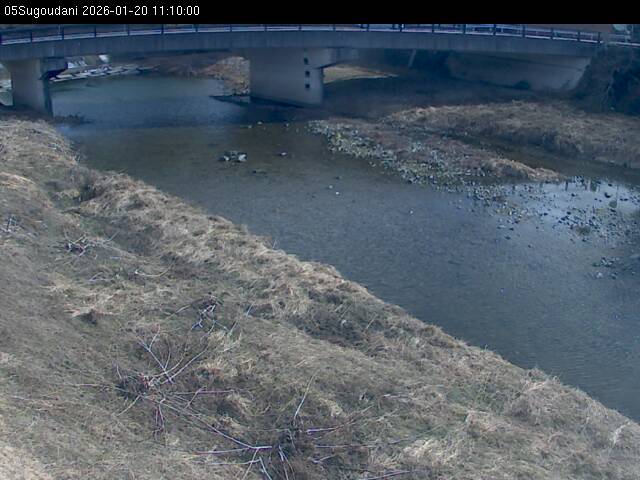 最新監視カメラ画像