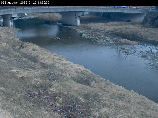 最新監視カメラ画像