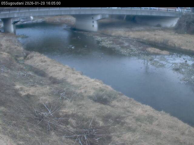 最新監視カメラ画像