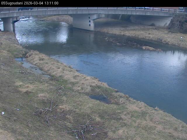 最新監視カメラ画像