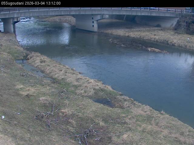 最新監視カメラ画像