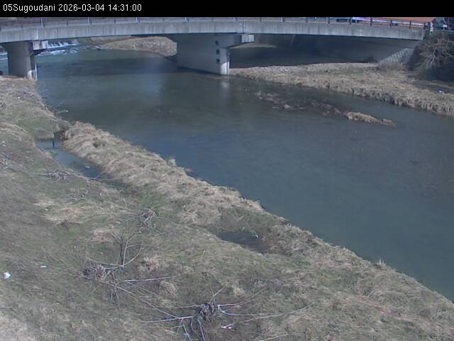 最新監視カメラ画像