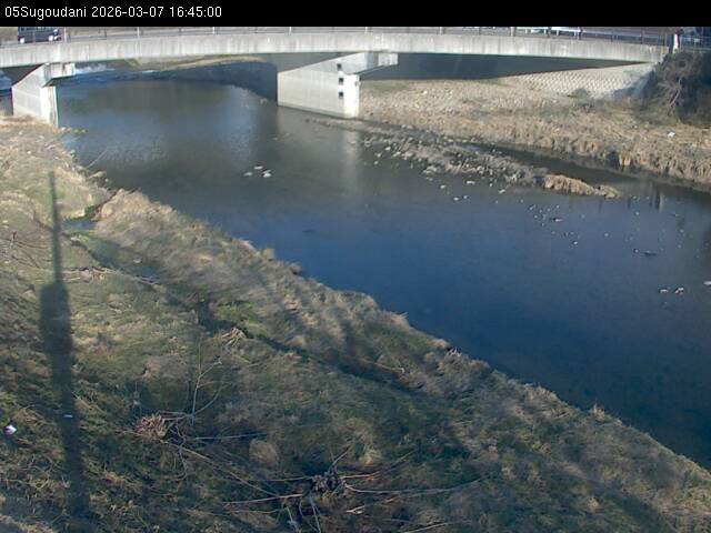 最新監視カメラ画像