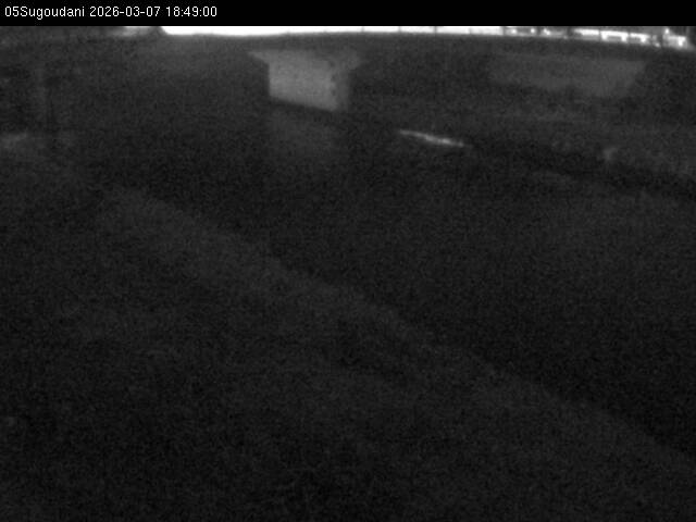 最新監視カメラ画像