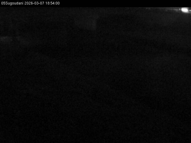 最新監視カメラ画像