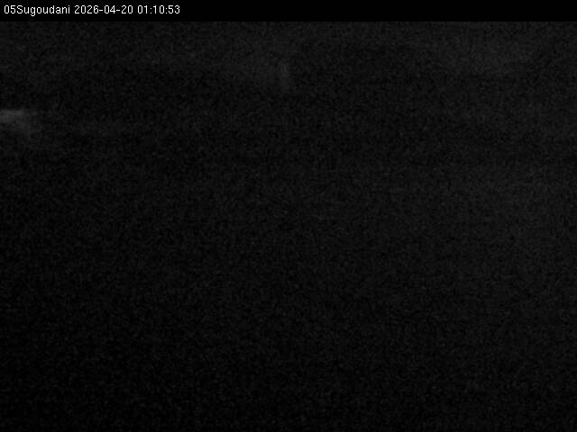 最新監視カメラ画像