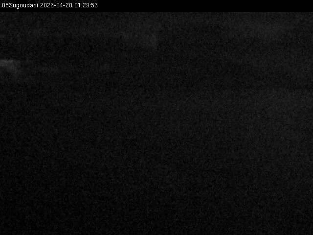 最新監視カメラ画像