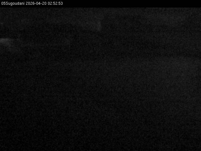 最新監視カメラ画像