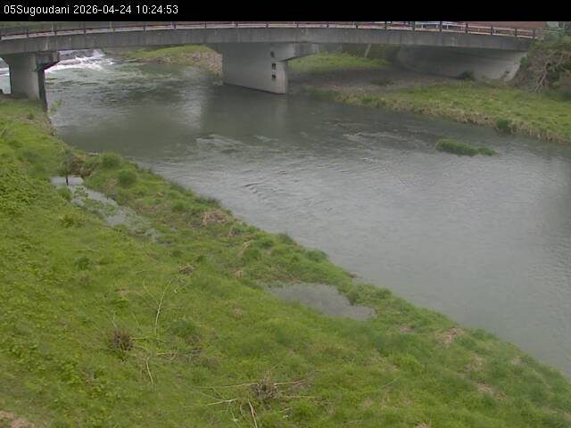 最新監視カメラ画像