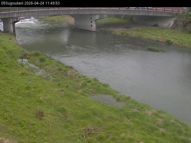 最新監視カメラ画像