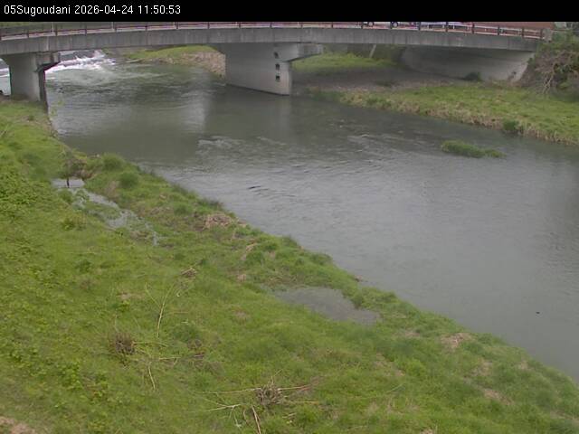 最新監視カメラ画像