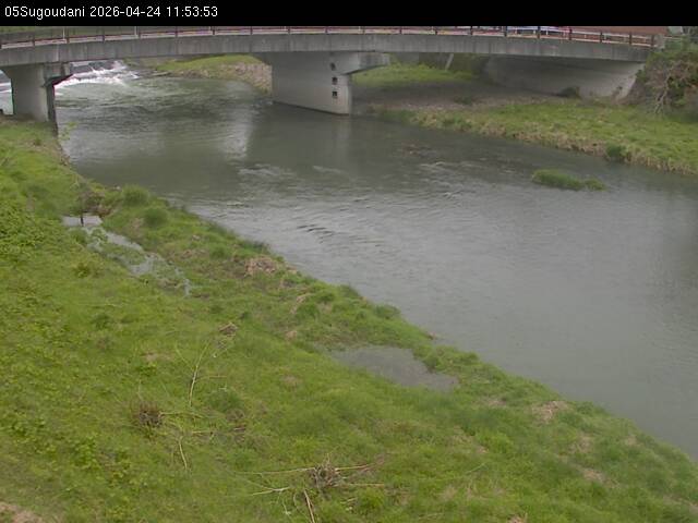 最新監視カメラ画像