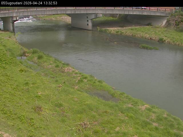 最新監視カメラ画像