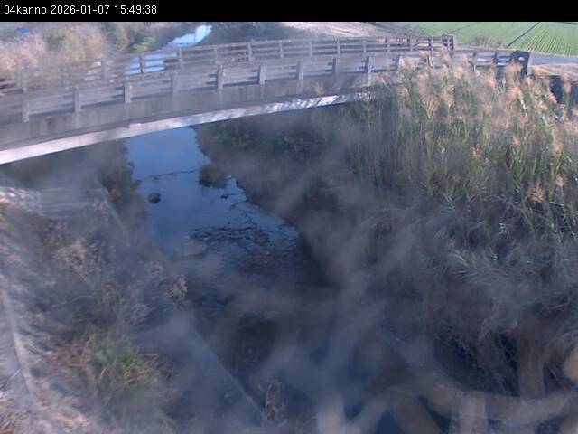 最新監視カメラ画像