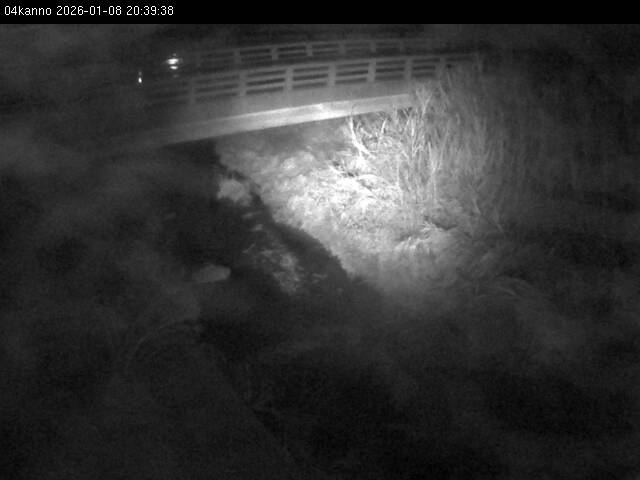 最新監視カメラ画像